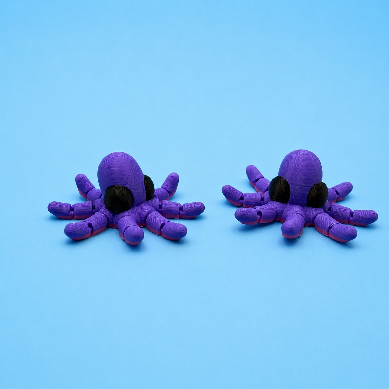 Octopus