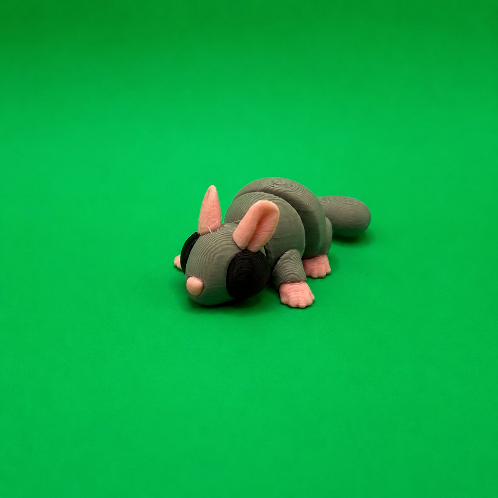 Chinchilla