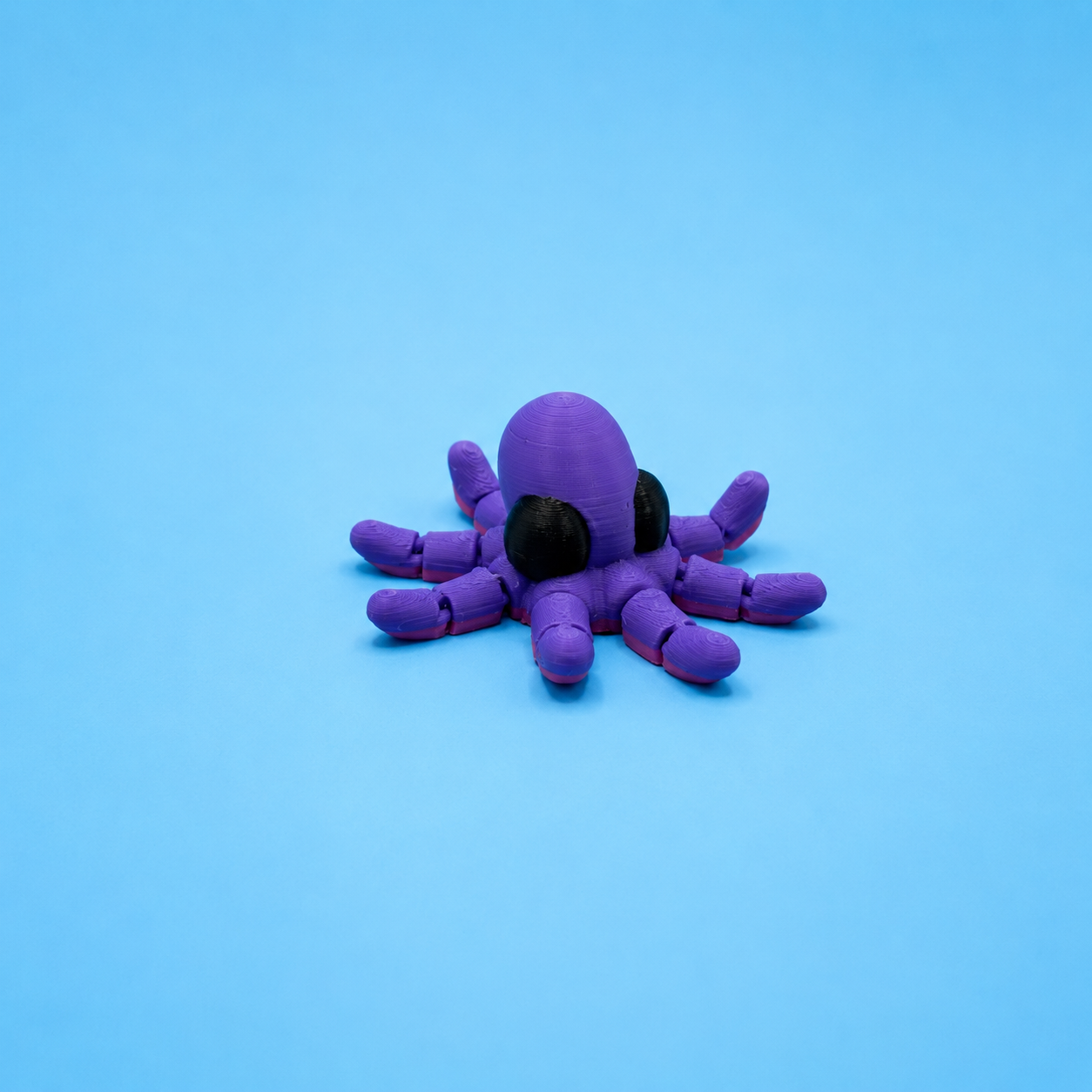 Octopus
