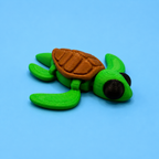 Sea Turtle