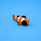 Clownfish