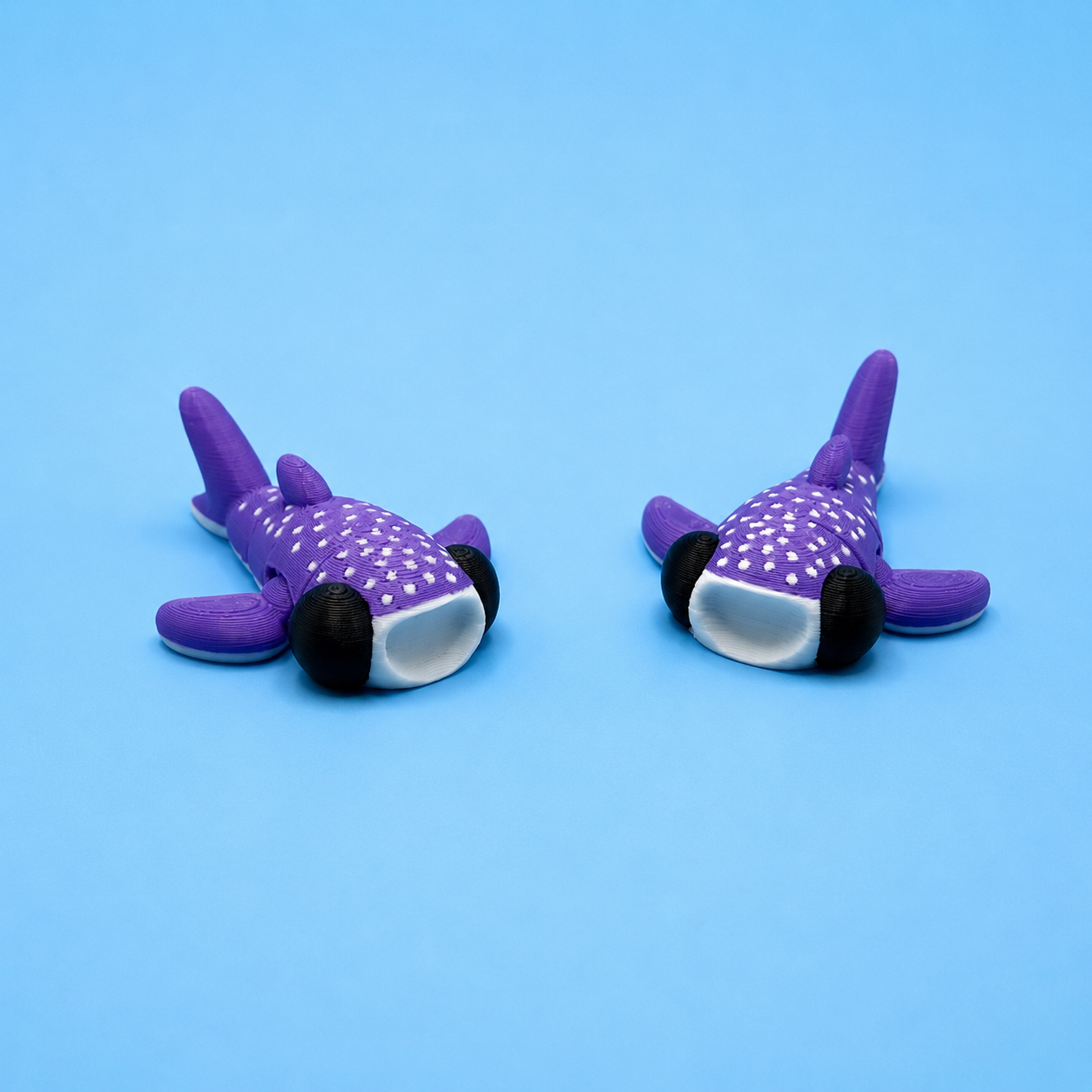 Whale Shark