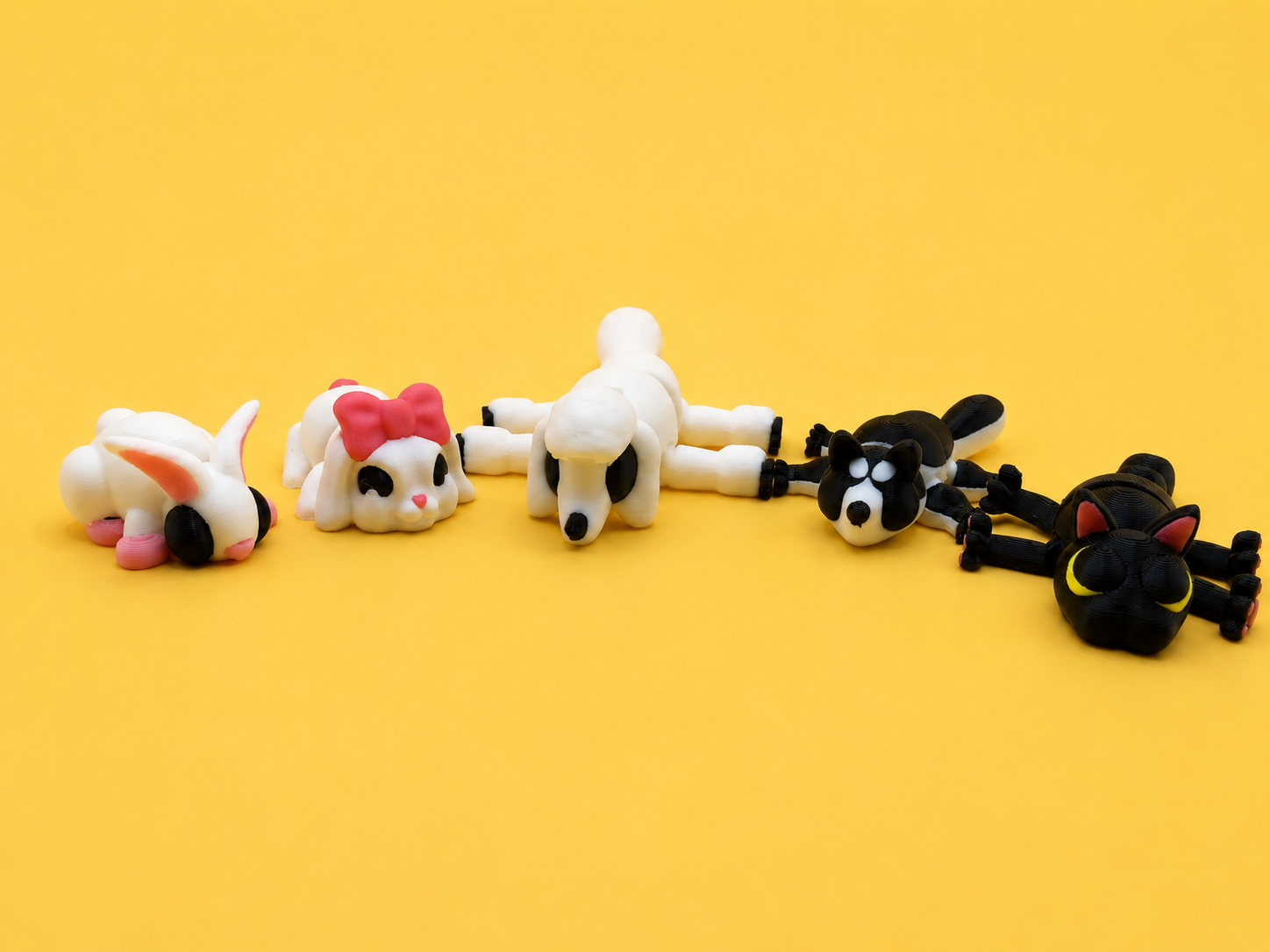 Pets Animal Collection