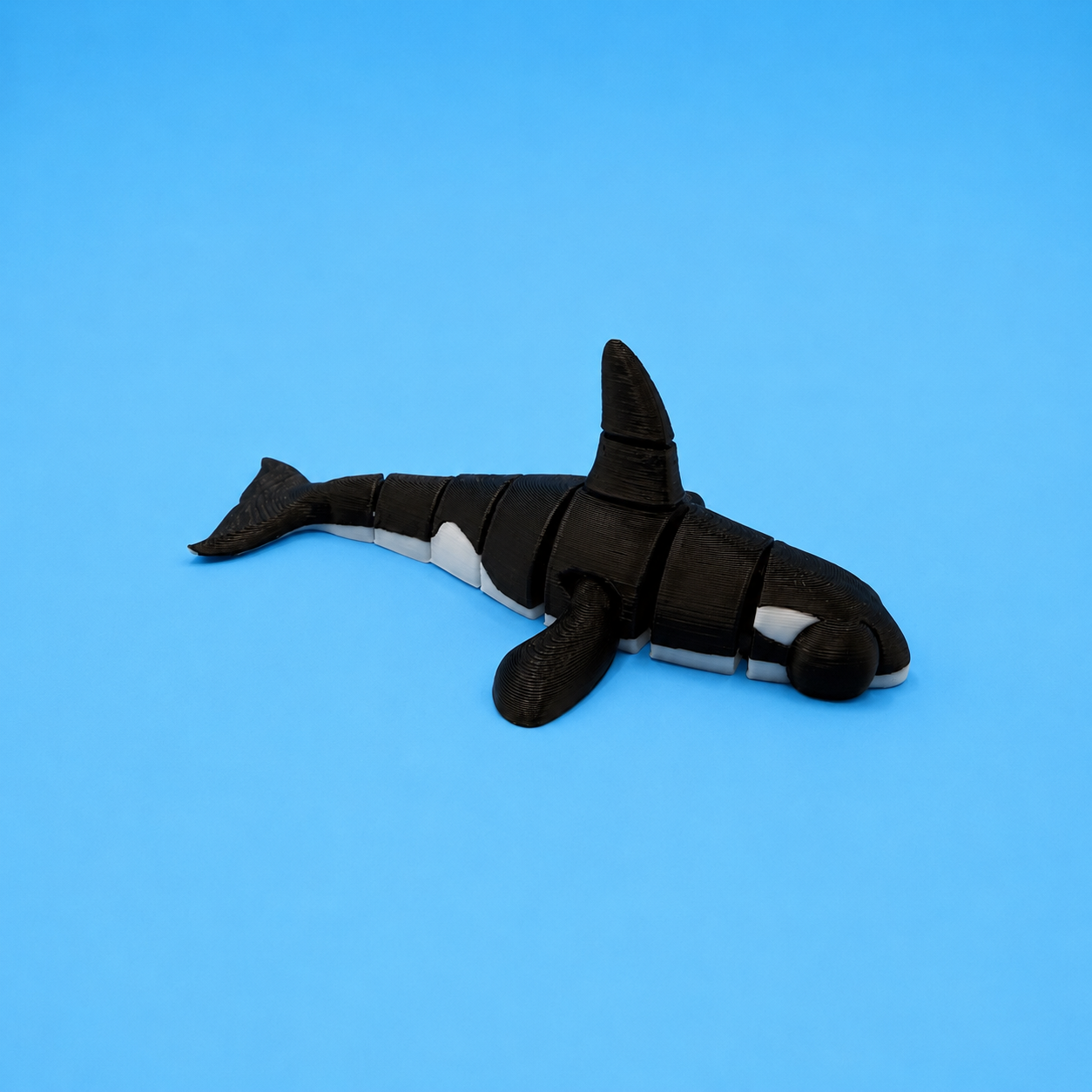 Orca