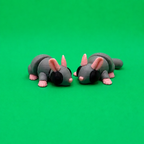 Chinchilla