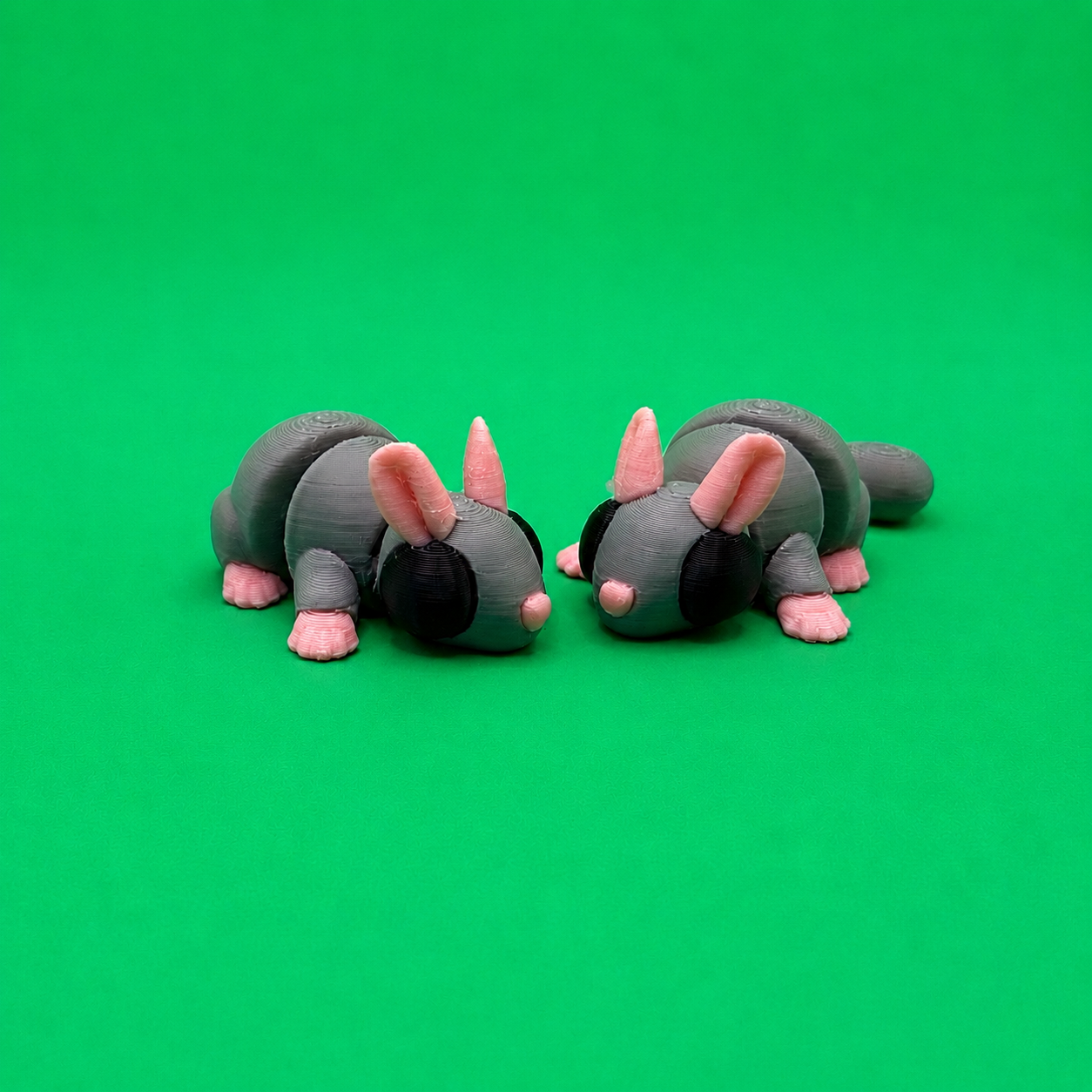 Chinchilla